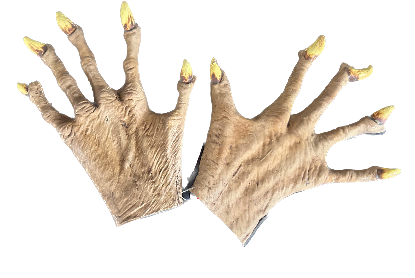 Manos Hombre Lobo