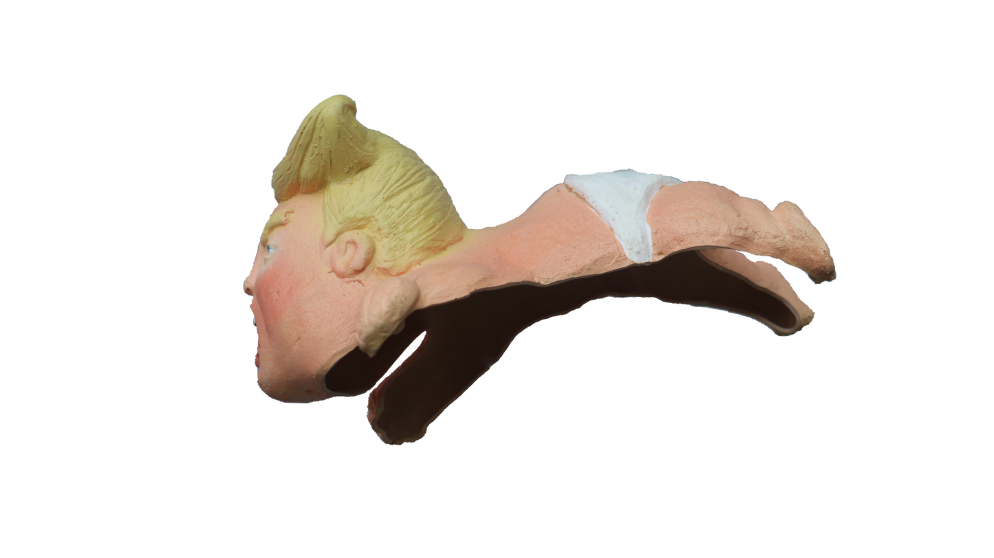 Shoulder Buddy Baby President