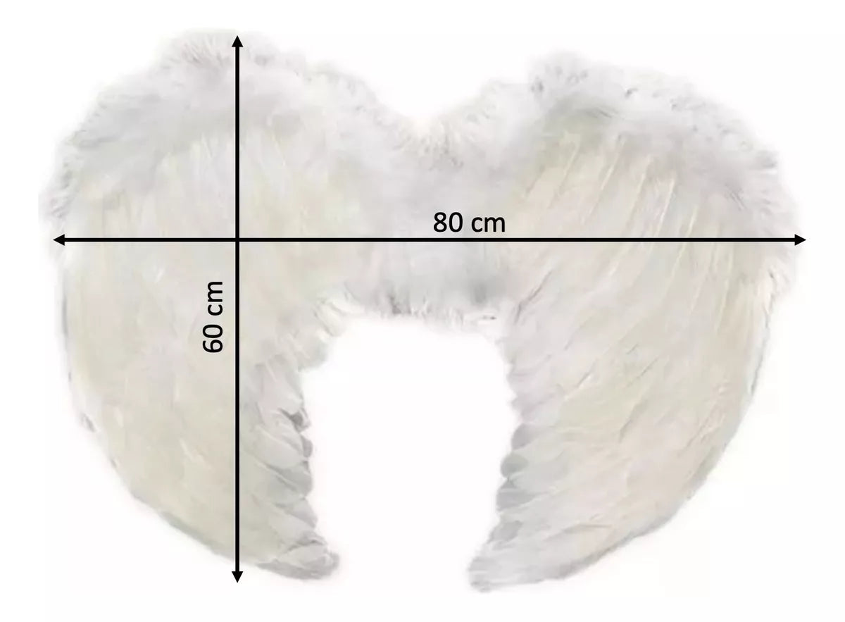 Alas Blancas Eco