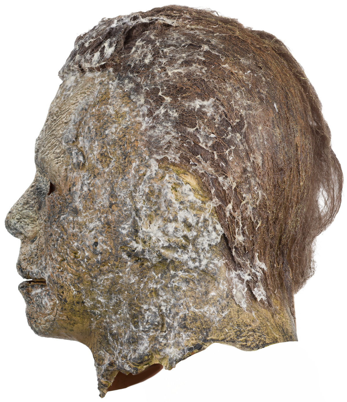 Mascara Michael Myers H 2022 Ends