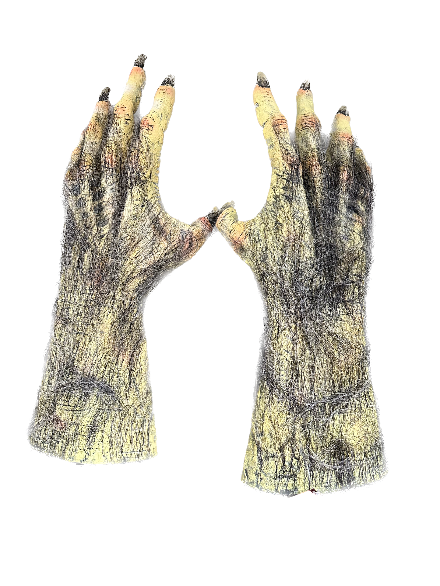 Mano Hombre Lobo Peluda