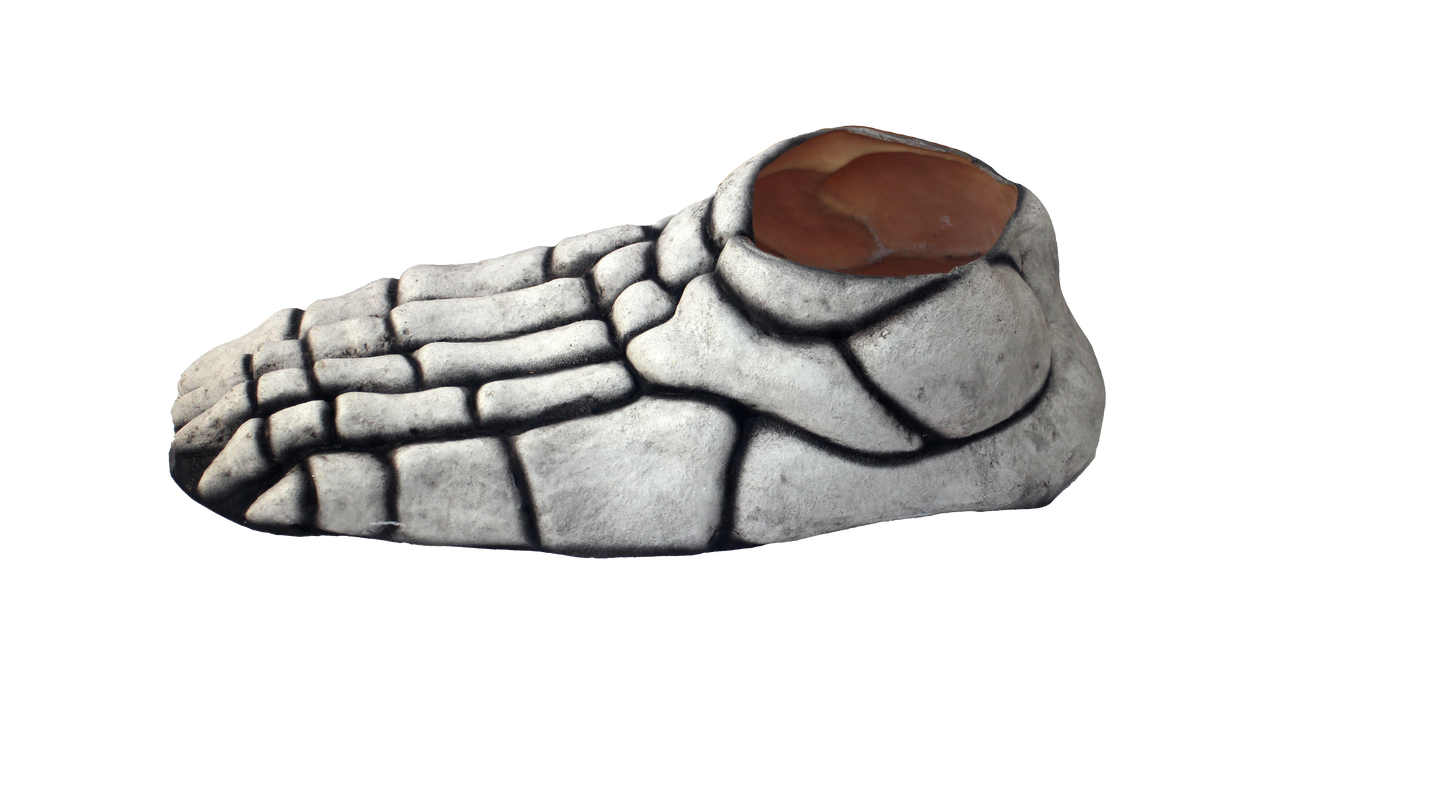 Pies esqueleto blanco