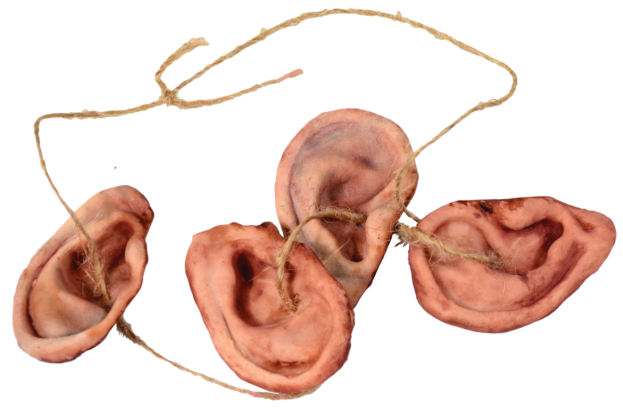 Collar de orejas