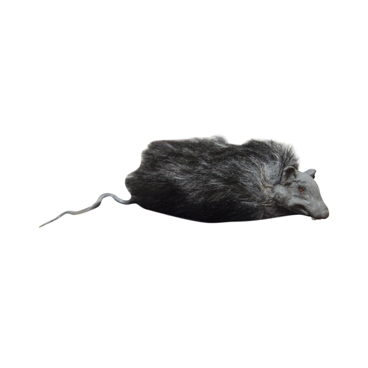 Rata decorativa