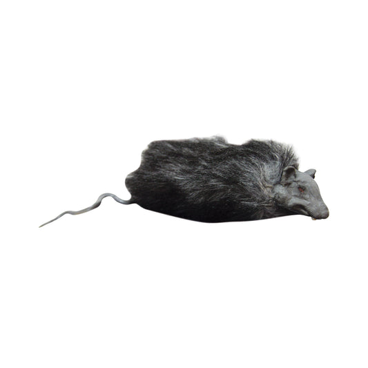 Rata decorativa