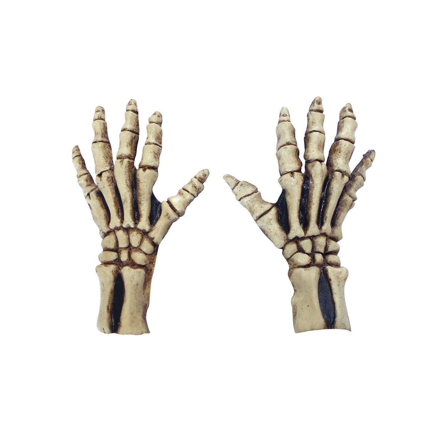 Manos Largas Esqueleto Beige