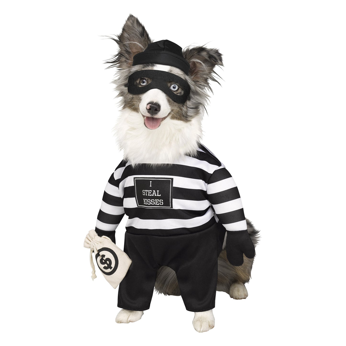 Robber Pup Pet - Disfraz para perro